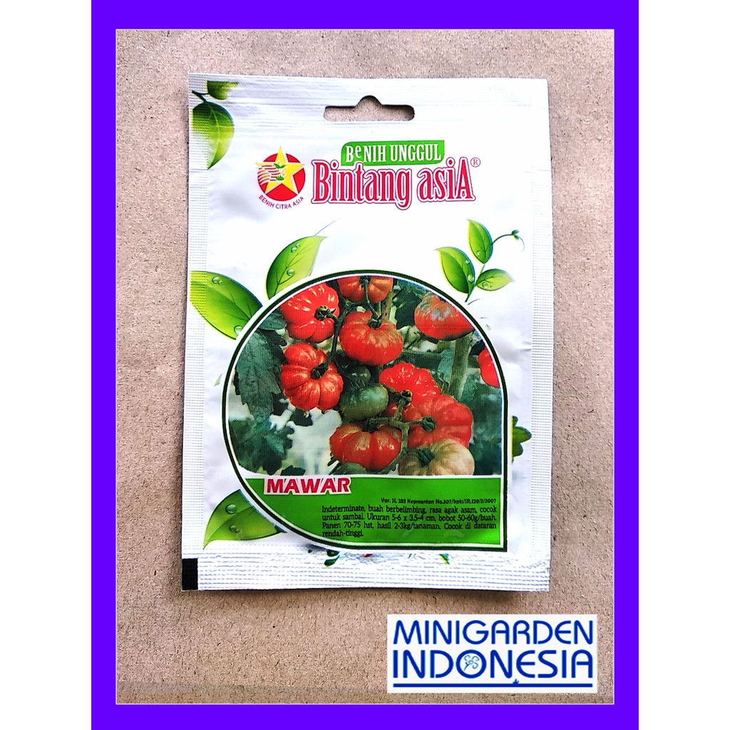 TOMAT KERITING MAWAR 125 BIJI PACK KECIL benih bibit tomat mawar Bintang Asia Tanaman Sayuran