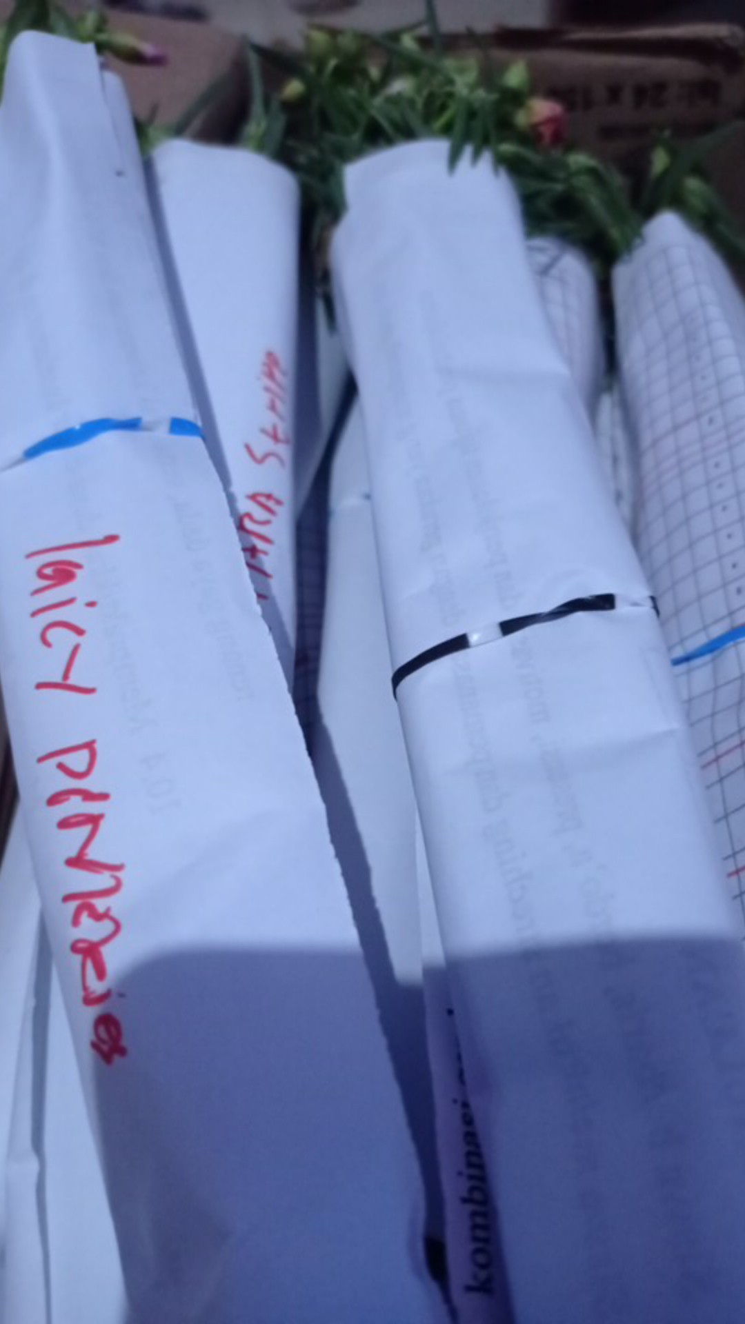 5 Stek Krokot Import Duna Bom Fire