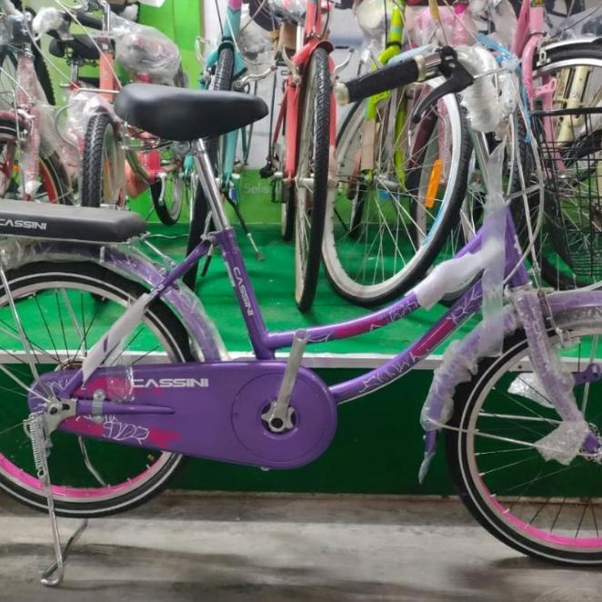 Sepeda Keranjang 20 Inch Trex Cassini Sepeda Mini