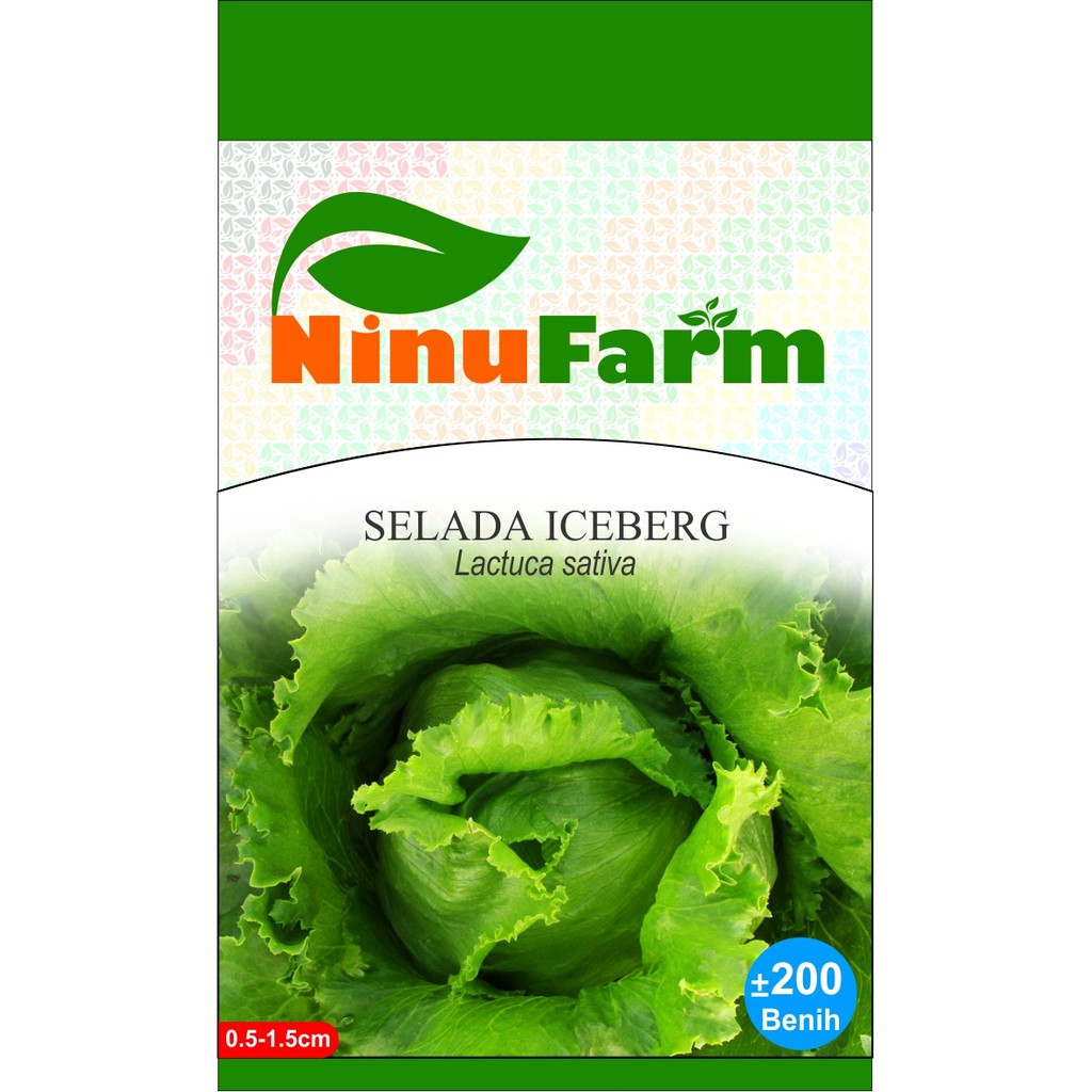 Benih Selada Iceberg 200Seeds