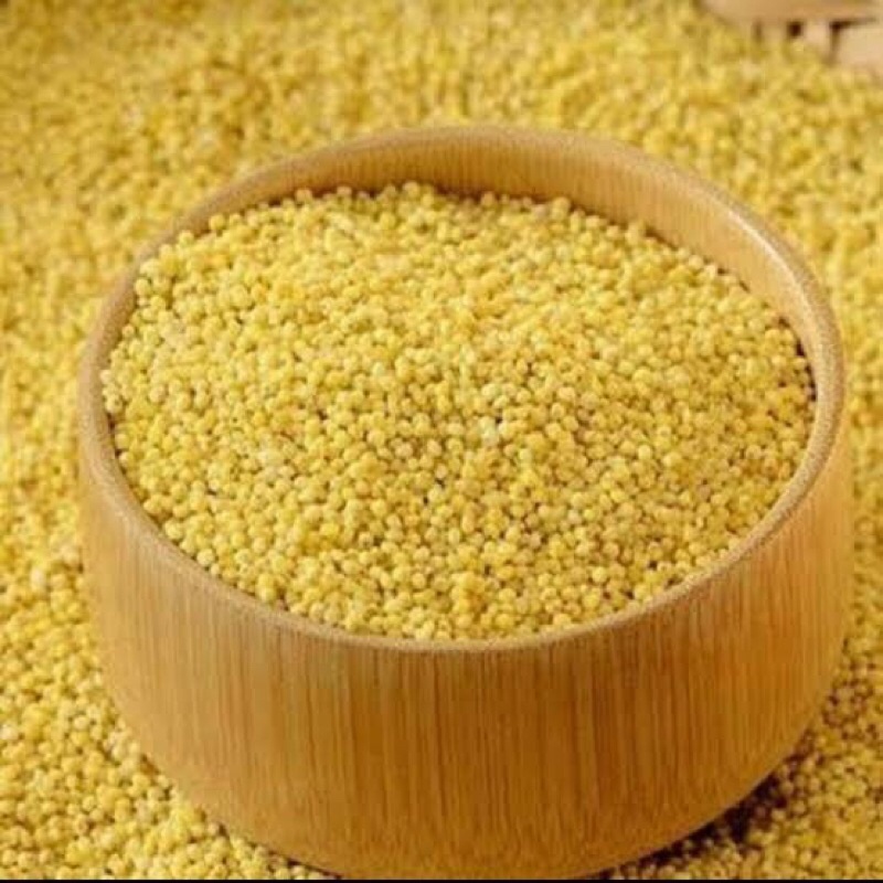 

BIJI KUNYIT / BIJI JAWAK / JEWAWUT / SEKOI / FOXTAIL MILLET KEMASAN 1KG