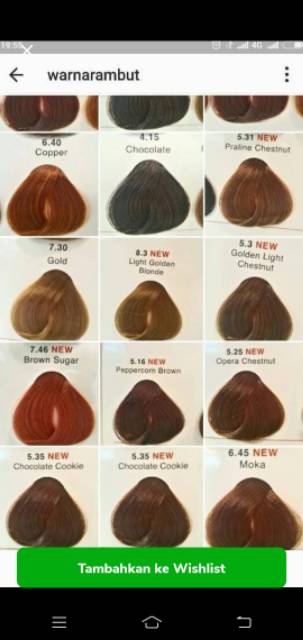 L'OREAL DIA RIACHESSE tutup uban TONING cat rambut Loreal  + Oxydant campuran majirel diarici semi permanen