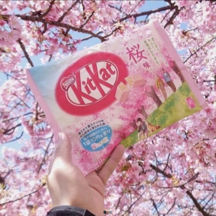Jual Siap Kirim Kitkat Sakura Cherry Blossom Japanese Chocolate Snack