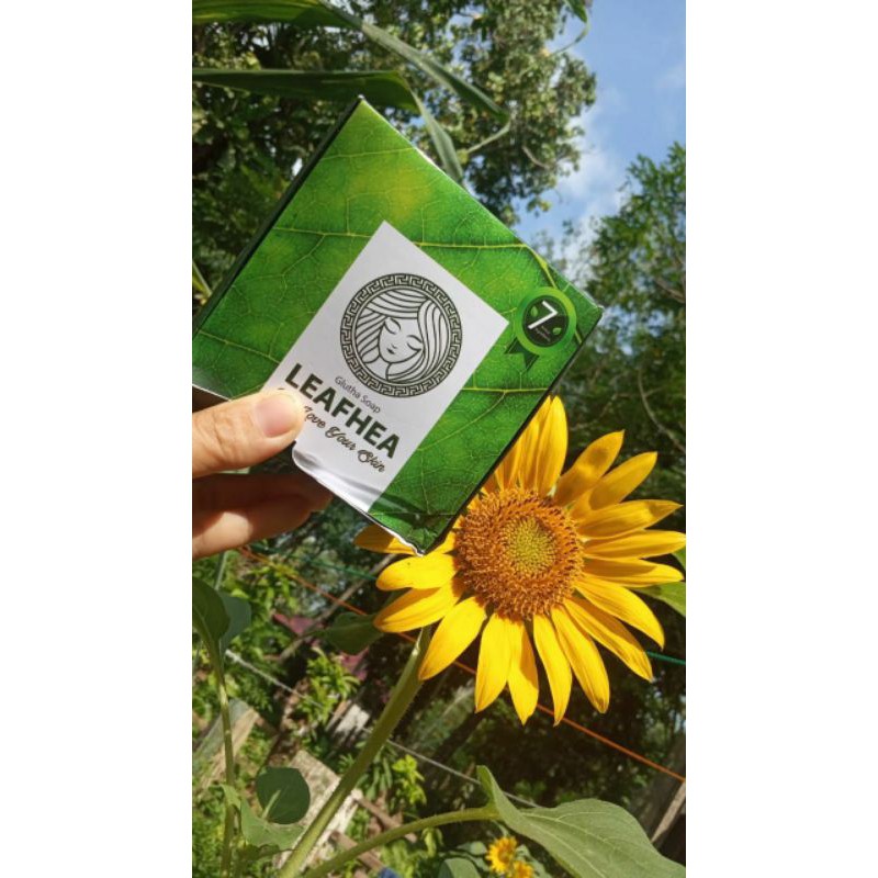 leafhea soap