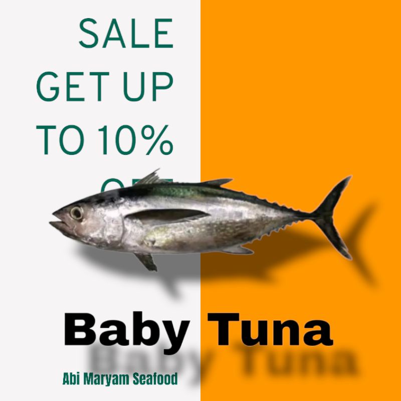 

Ikan Baby Tuna Fresh Berkualitas 1kg