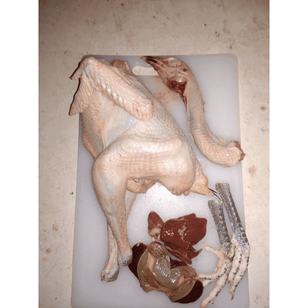 

Ayam kampung 1kg