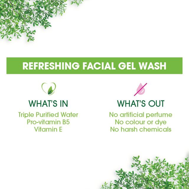 Simple Facial Wash Gel Refreshing