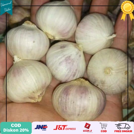 

◾COD◾ Bawang Putih Tunggal 500 gram JUMBO BESAR Lanang kualitas PERTAMAXX - PREMIUM