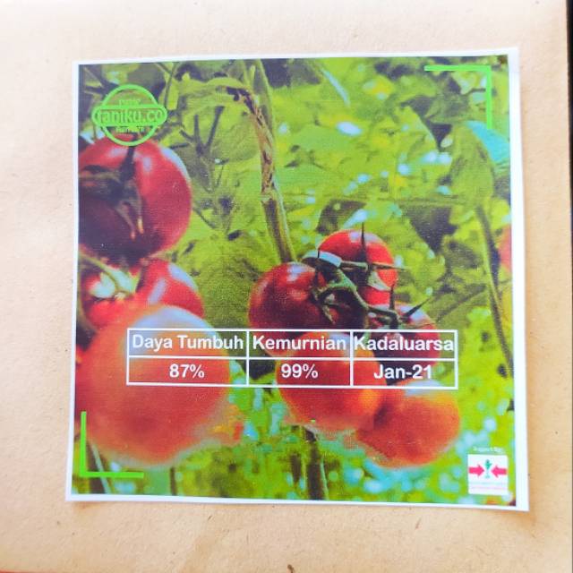 Benih tomat Ori Produksi Banyak isi 1 gram - Permata Baru