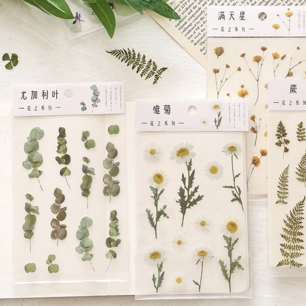 

6 types vintage transparent PET sticker pack gypsophila flowers retro plants flowers special-shaped hand account journal album decoration DIY material stickers/ stiker lucu aesthetic kado hadiah jurnal journal bujo kreatif diary daun bunga flower leaf