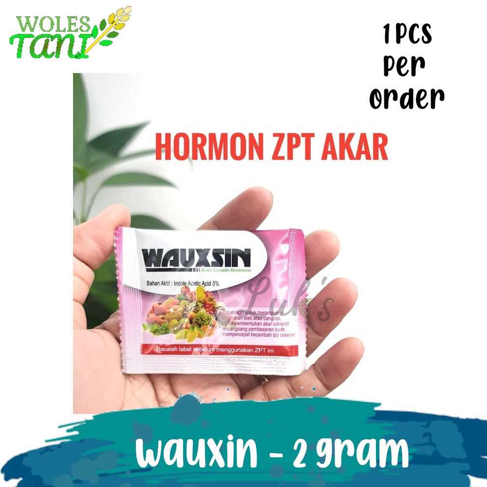 Wauxin 2 Gram Auxin Penumbuh Akar