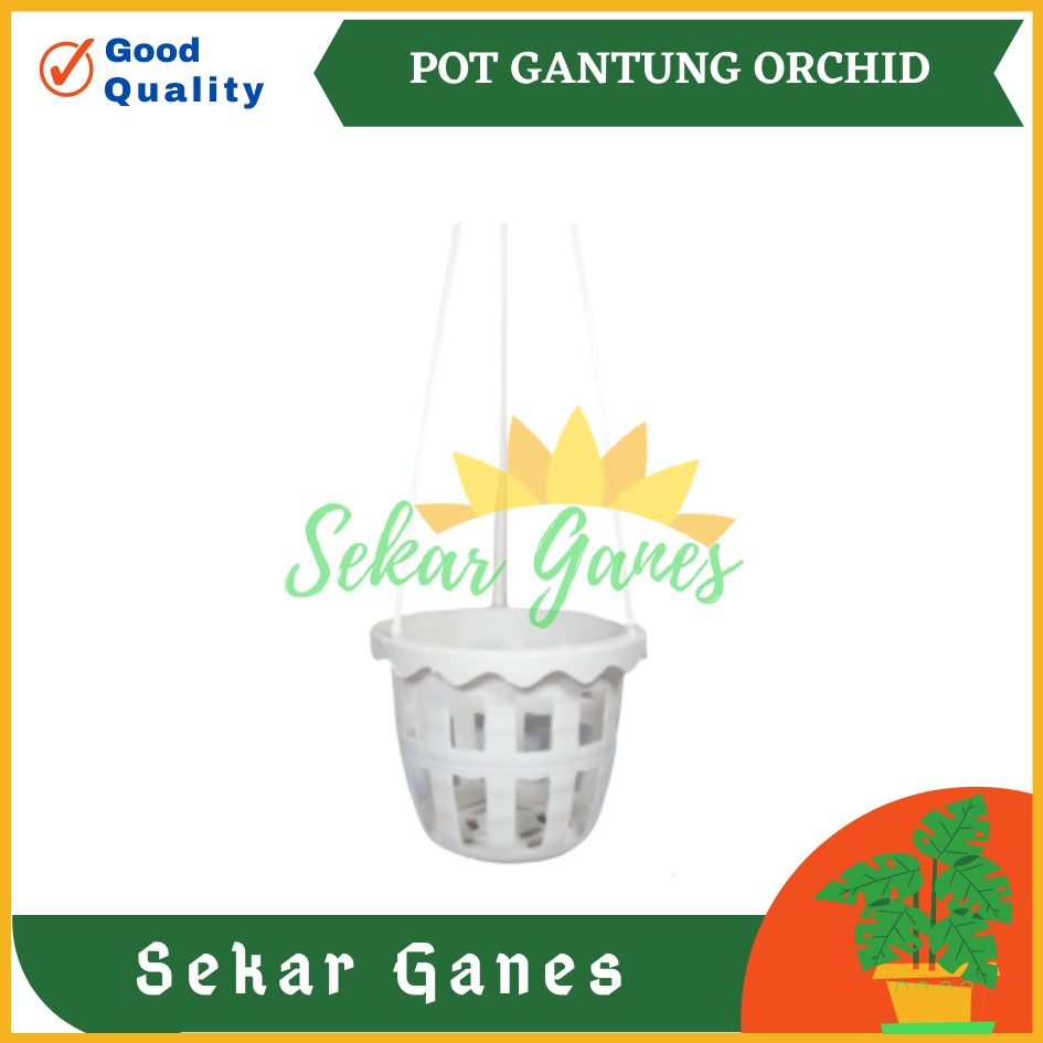 Pot Gantung Anggrek Orchid 10 cm Putih Pot Anggrek Murah Bkn Pot Anggrek Gantung NKT Putih 14