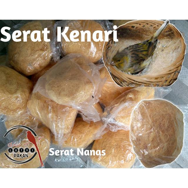 SERAT KENARI | SERAT NANAS