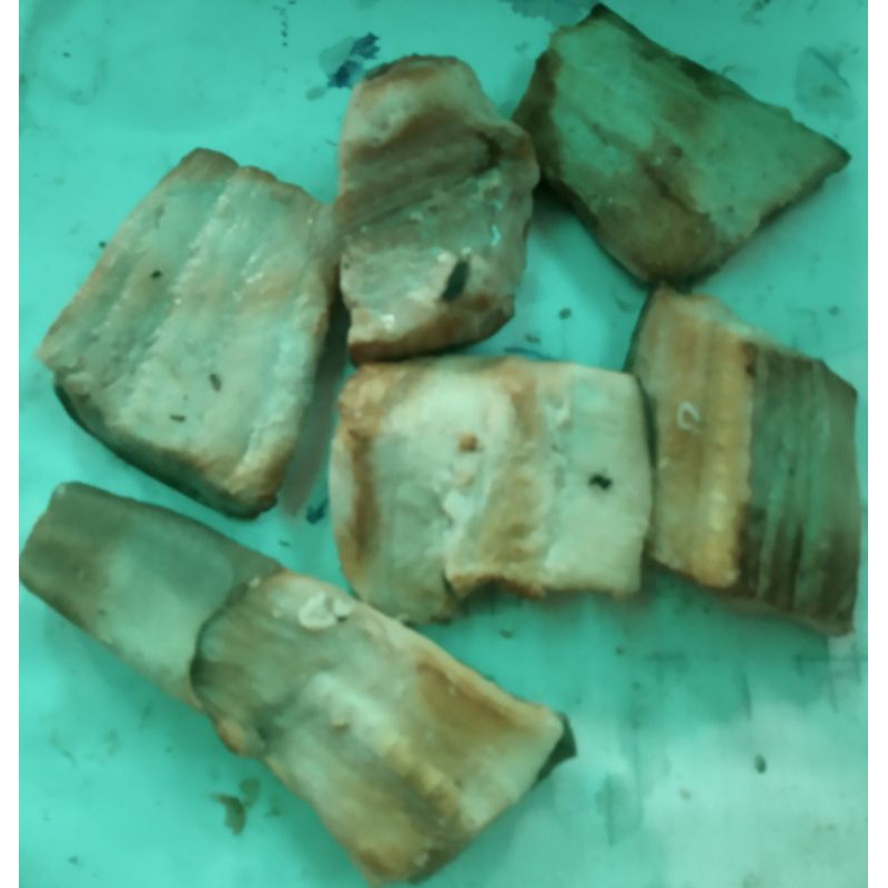 

daging ikan manyung asap segar