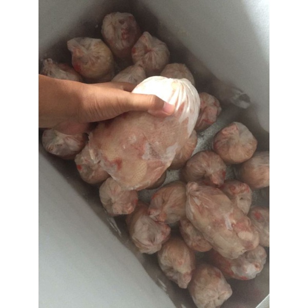 

Ayam Broiler Frozen / Ayam frozen / Ayam Murah 1-1,1 kg