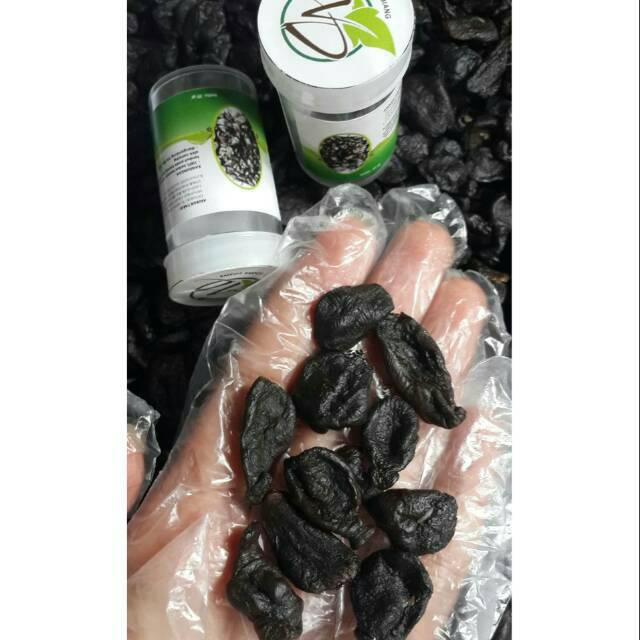 Empot empot biang WD penambahan hormon estrogen wanita dan pria program hamil lancar haid manu pause