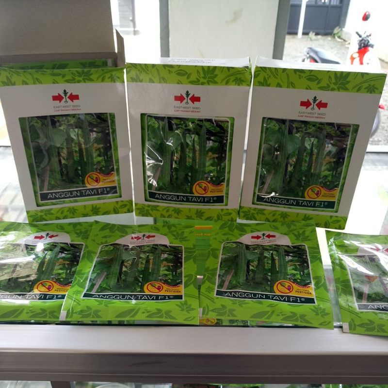 benih oyong anggun tavi 75btr