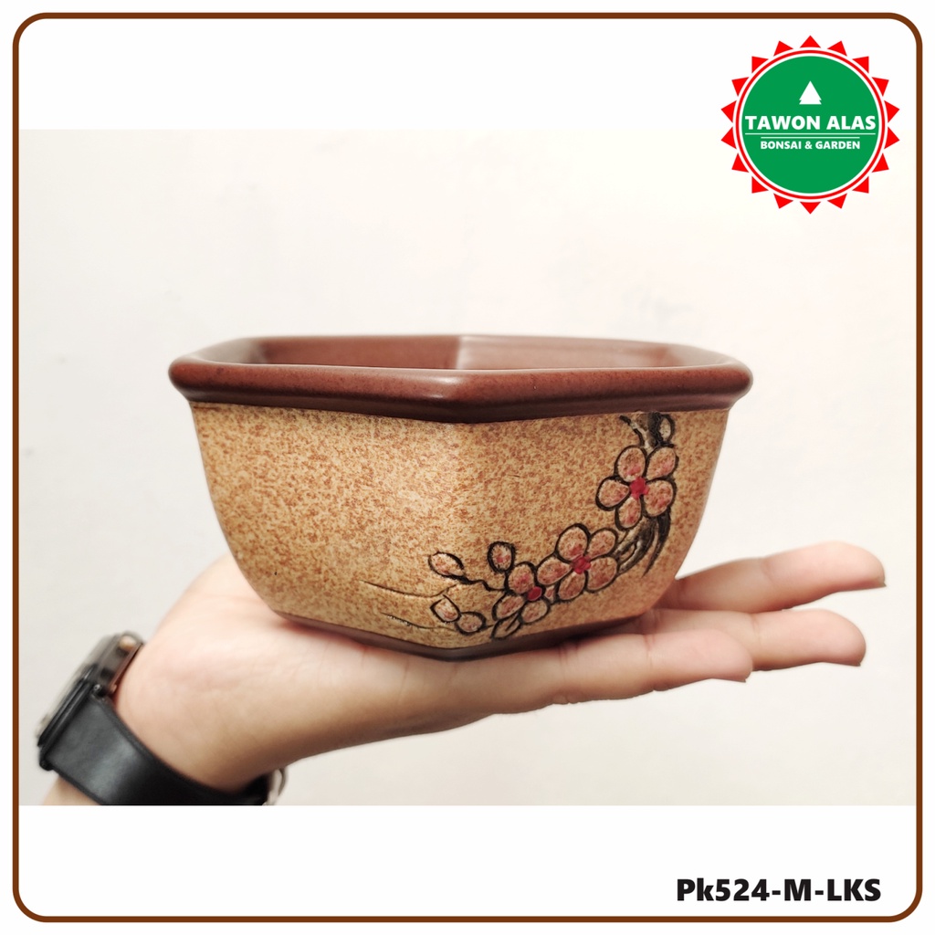 Pot Keramik Bonsai Sukulen Kaktus Segi Enam Kecil Small Bukan Semen