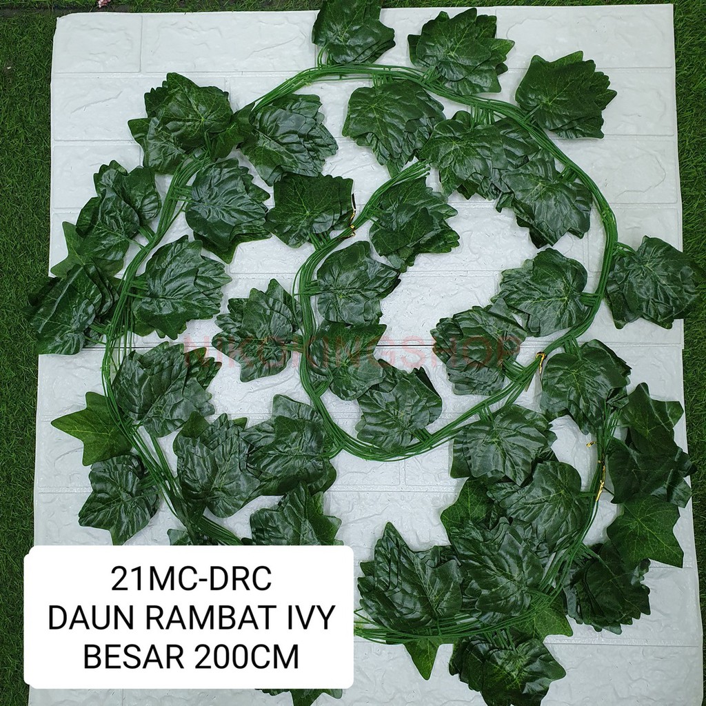 Jual DAUN RAMBAT IVY BESAR 200CM 21MC-DRC ( PROMO ) | Shopee Indonesia