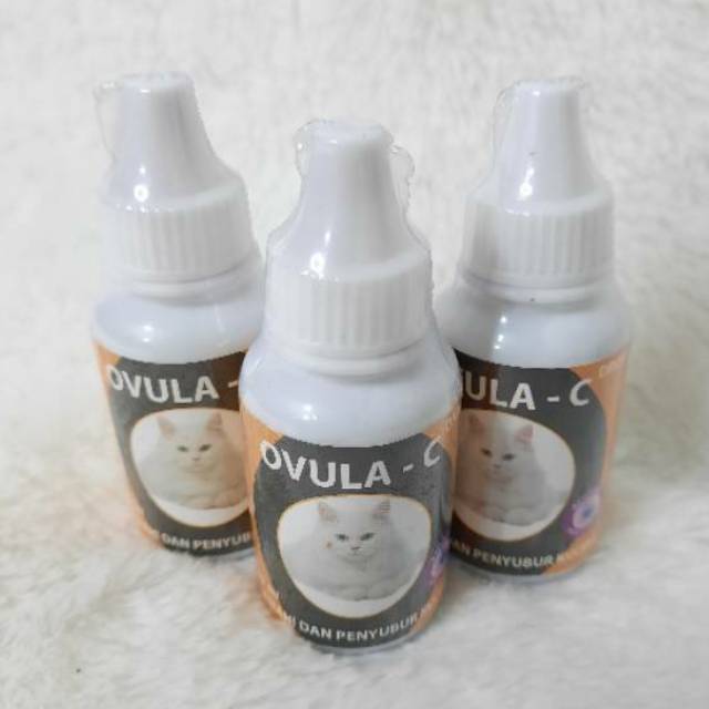 Ovula - C obat untuk birahi dan penyubur kucing 30ml