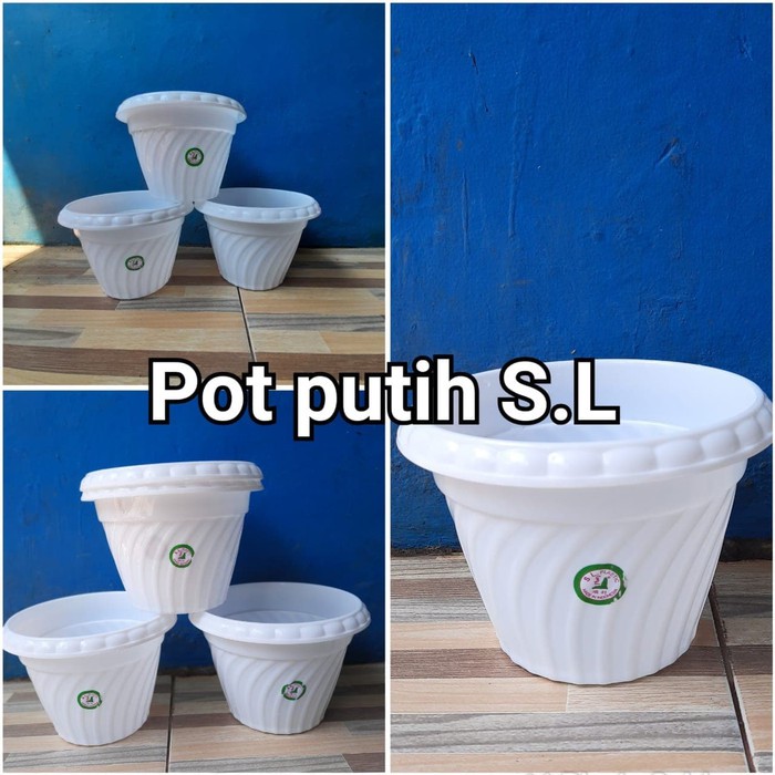  Pot  Tanaman  Putih S L ukuran 22 Shopee  Indonesia