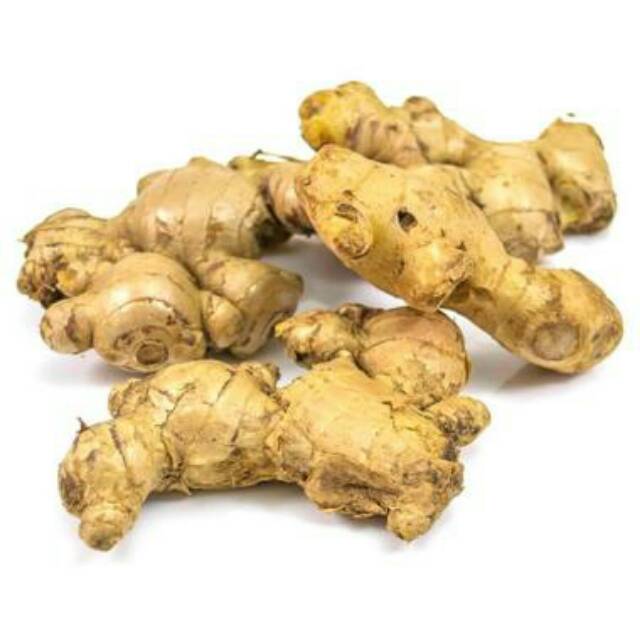 

JAHE PUTIH / JAHE GAJAH FRESH Harga per 500 gr