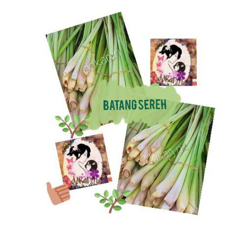 

500gr batang serai besar