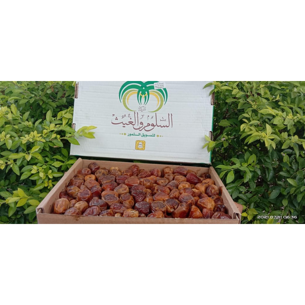 

KURMA SUKARI - KURMA RAJA