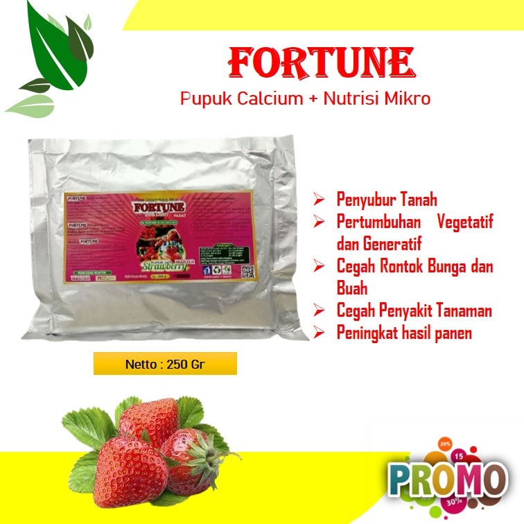 Pupuk Buah Strawberry Booster Strawberry Pupuk Strawberry Agar Berbuah Lebat