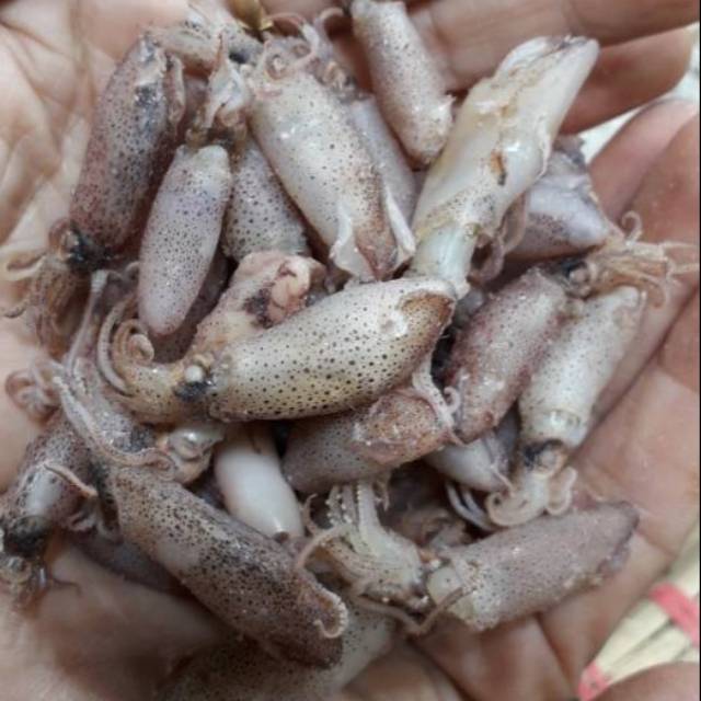

Cumi sedang 500gr