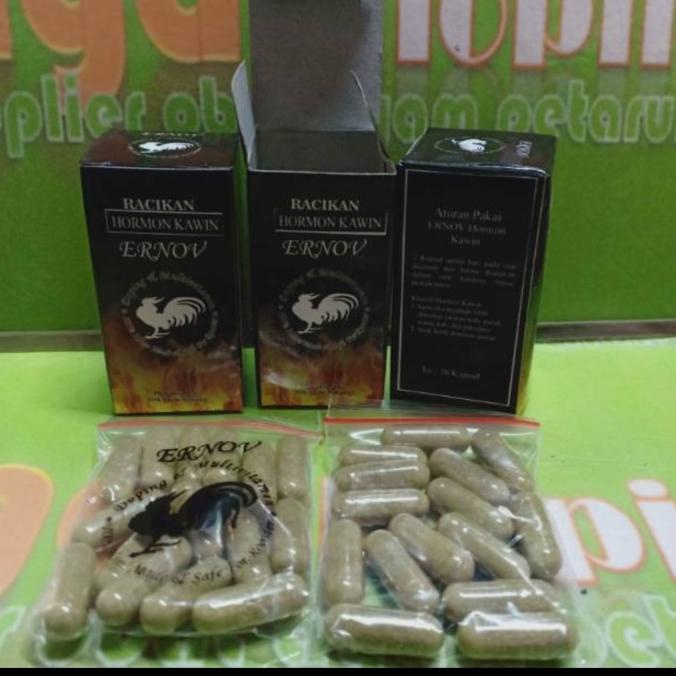 ernov hormon kawin 30cap obat vitamin ayam tarung birahi bibit bermutu