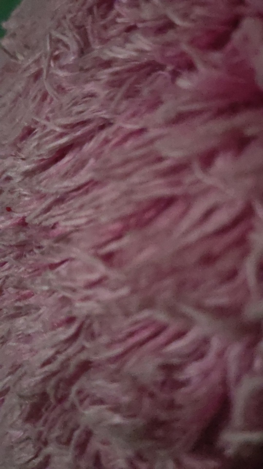 Toples Panen Raya 2268 / Nuai 268 10x10 T:6cm Dessert Box