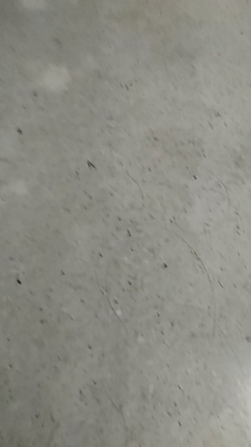 Mahesa Batik Pria Asli Solo Full Furing Katun Halus Sragenan