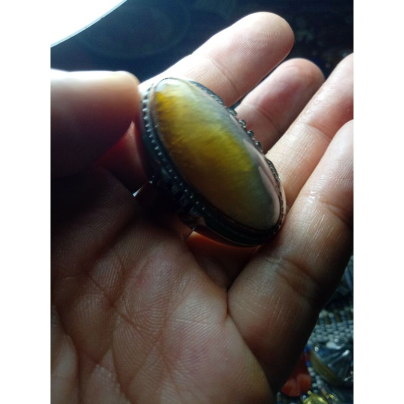 pandan lumut babon semu ijo