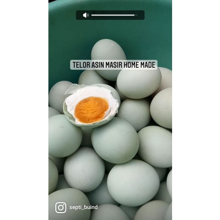 

Telor Asin Masir isi 10 butir