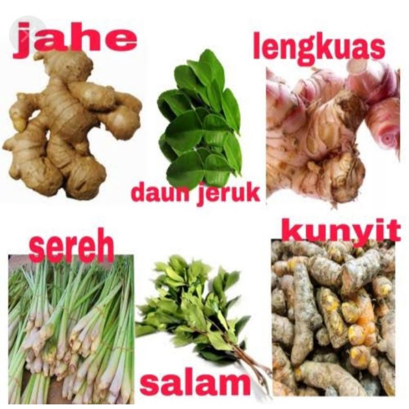 

Bumbu dapur, lengkuas, sereh, kunyit, jahe, daunsalam, daunjeruk, kemiri, lada, pala, kayumanis, cengkeh, kapulaga