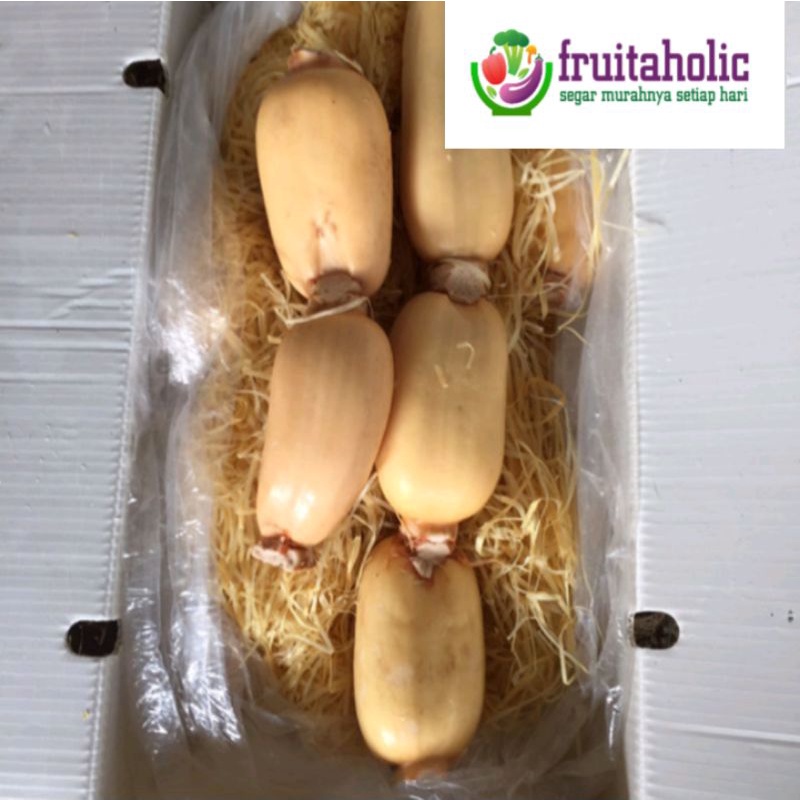 

AKAR TERATAI/LOTUS ROOT/AKAR SEROJA