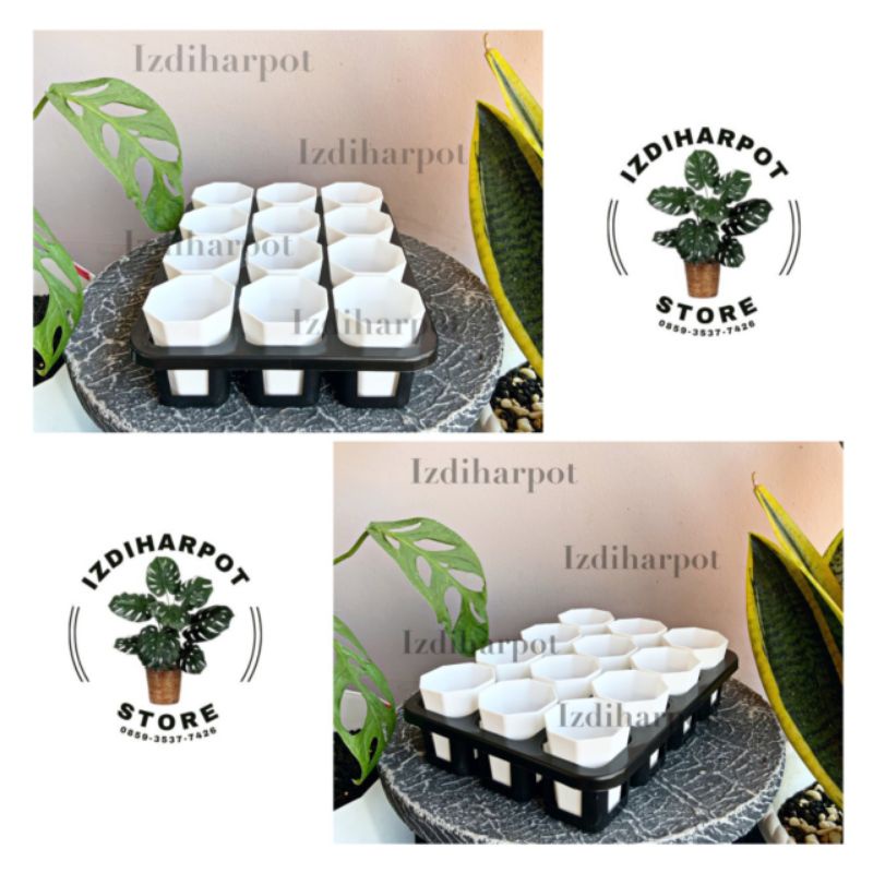 1 set Tray + POT BUNGA NKT PAGODA MINI 5CM PUTIH | tray semai bibit