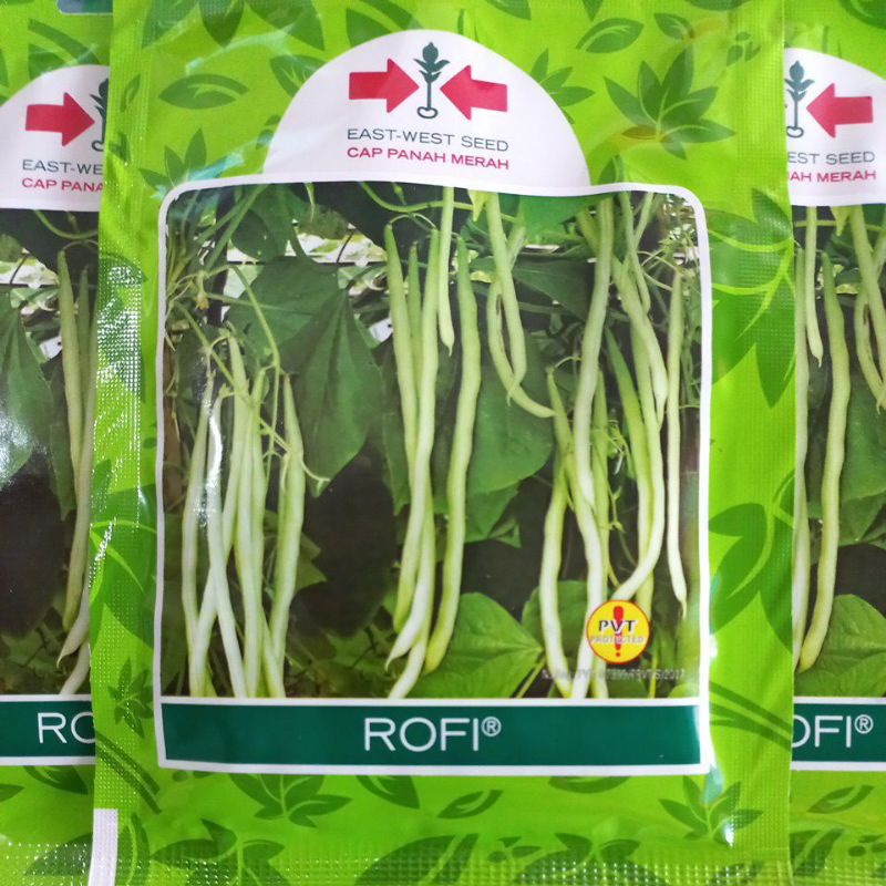 Rofi 225 Butir Benih Buncis