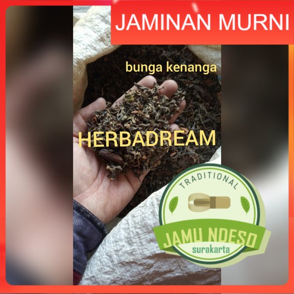 

BUNGA KENANGA KERING 100 GRAM - Cananga Odorata - MURNI - JSR - REMPAH