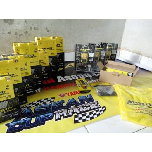 Mottobatt Type MTX5AL