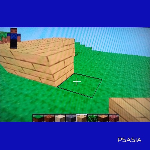 MINECRAFT PS 2