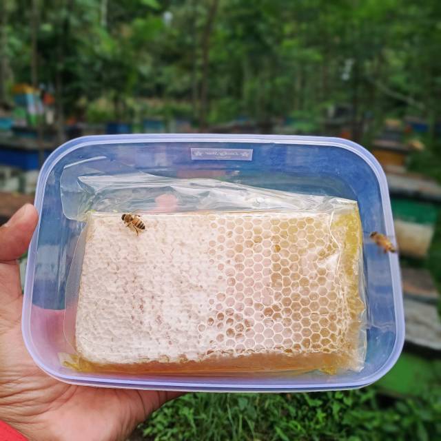 

Madu murni