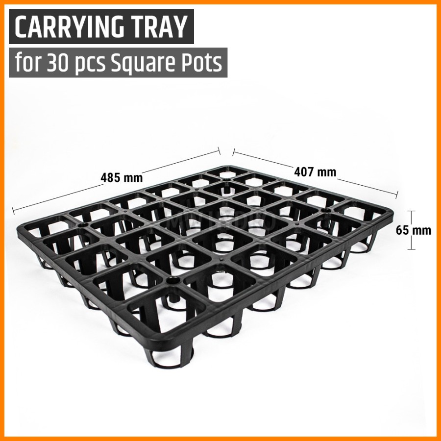 Carrying Tray include 30 pcs of 7 cm Square Pot - Tray + 30 Pot Kotak