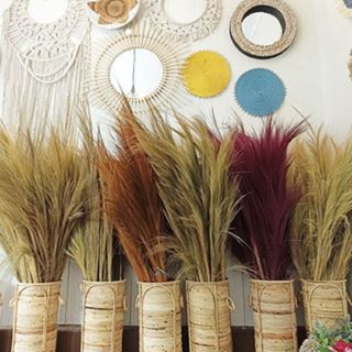 Jual PAMPAS LOKAL TANPA BULU / DRIED PAMPAS GRASS / RAYUNG / BUNGA