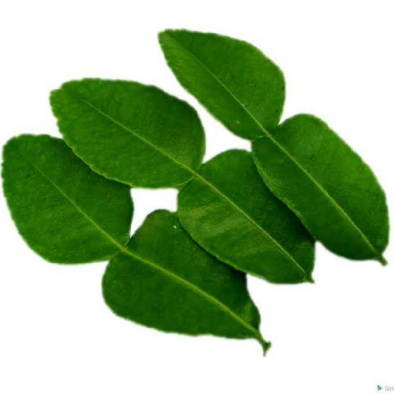 

Daun jeruk [50 gram]