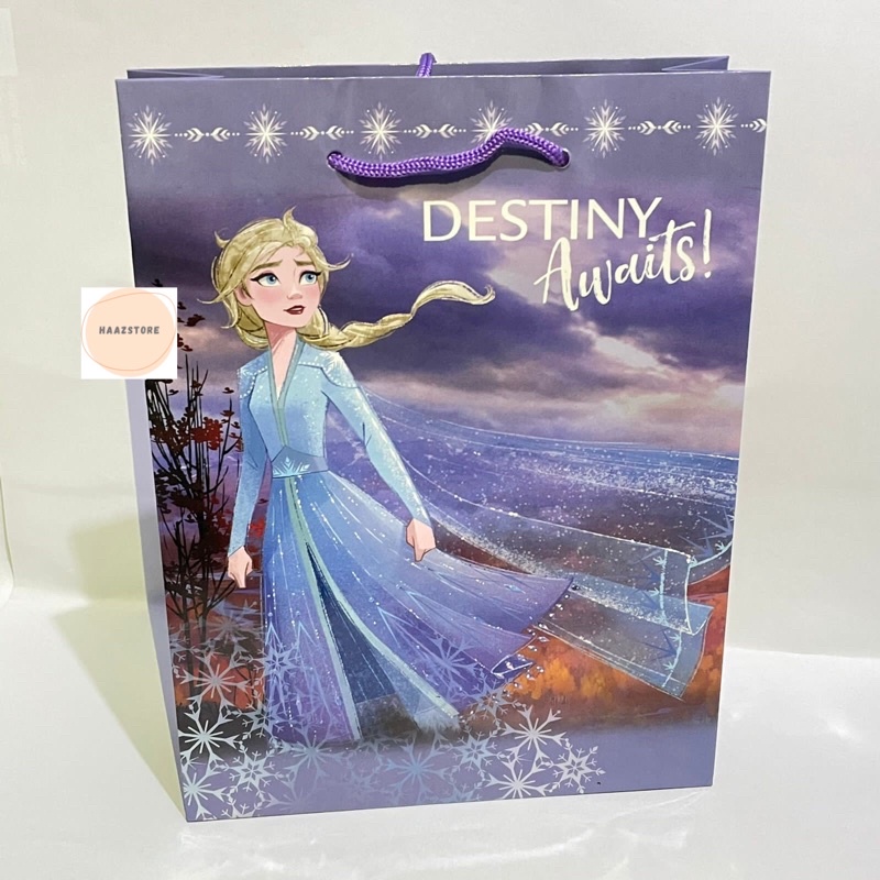 PAPER BAG PAPERBAG MOTIF TAS KERTAS PERNIKAHAN KADO ULANG TAHUN ANAK DEWASA-Frozen