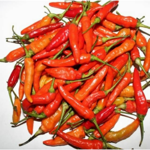 

SAYUR FRESH CABE RAWIT MERAH CABAI RAWIT MERAH