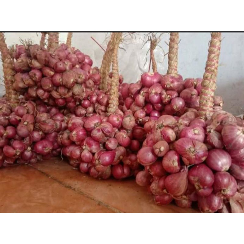 

Bawang Merah Super Untingan Asli Probolinggo 1 kg