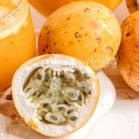MARKISA 1 KG BUAH SEGAR / PASSION FRUIT FRESH DENPASAR BALI